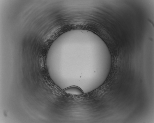 X0000103420774200809261706