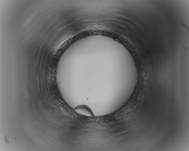 X0000103420775200809261706