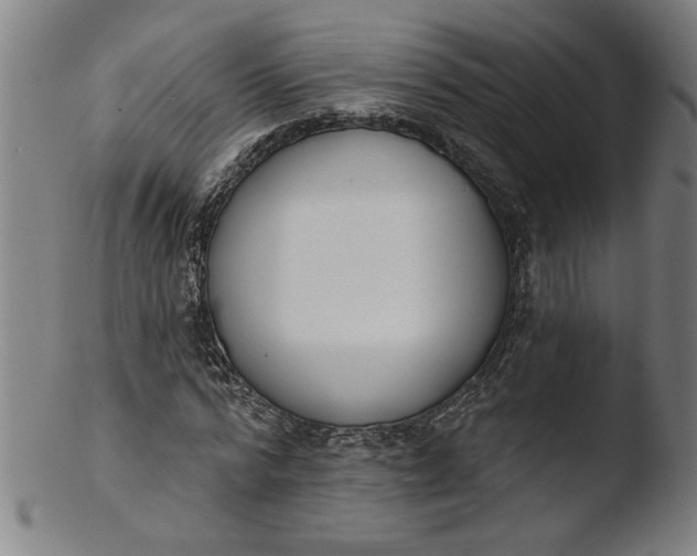 X0000103420776200809261706