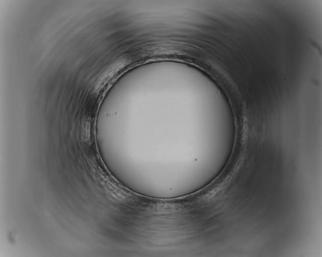 X0000103420777200809261706