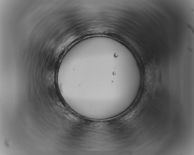X0000103420778200809261706