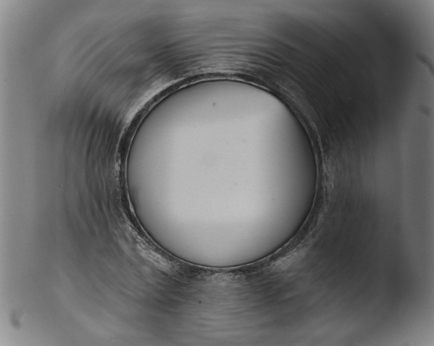 X0000103420779200809261706