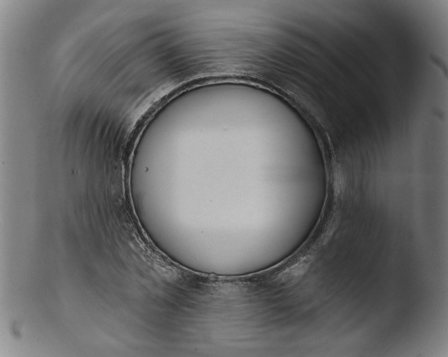 X0000103420781200809261706