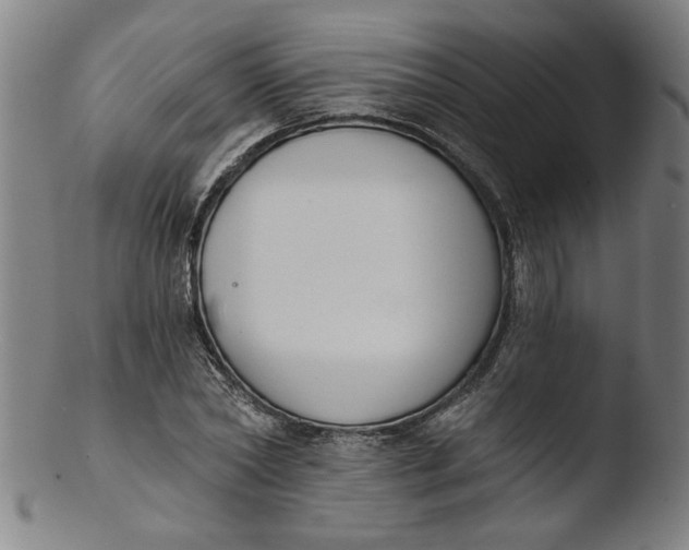 X0000103420782200809261706