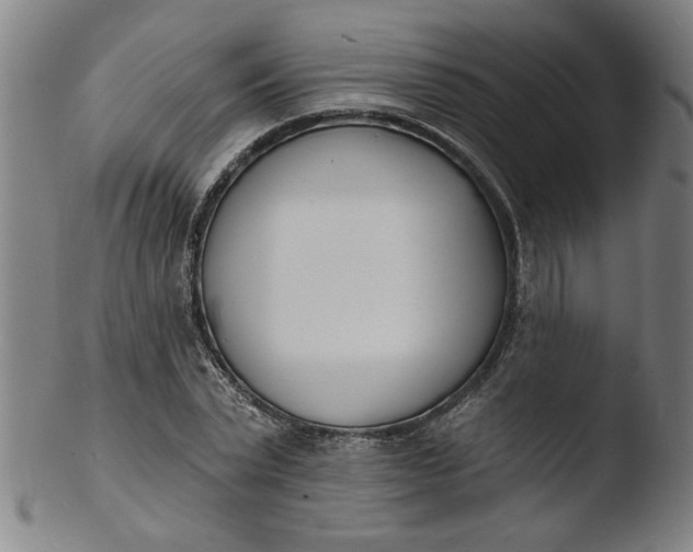 X0000103420783200809261706