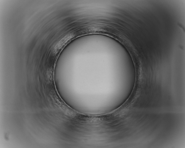 X0000103420785200809261706