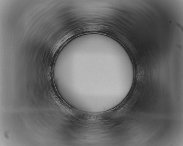 X0000103420786200809261706