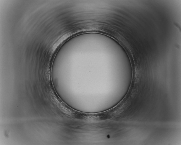 X0000103420789200809261706