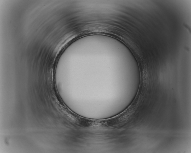 X0000103420790200809261706
