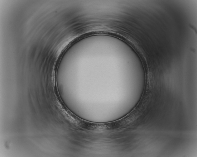 X0000103420791200809261706