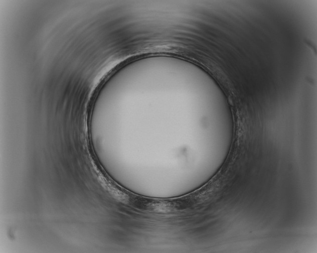 X0000103420792200809261706