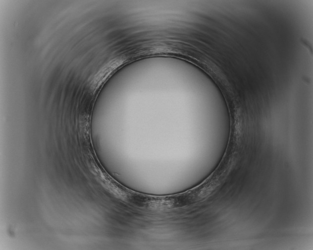 X0000103420793200809261706