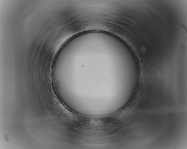 X0000103420799200809261706