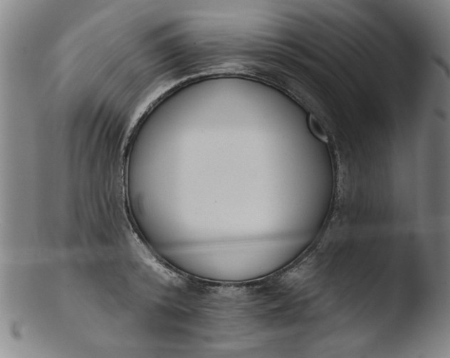 X0000103420800200809261706