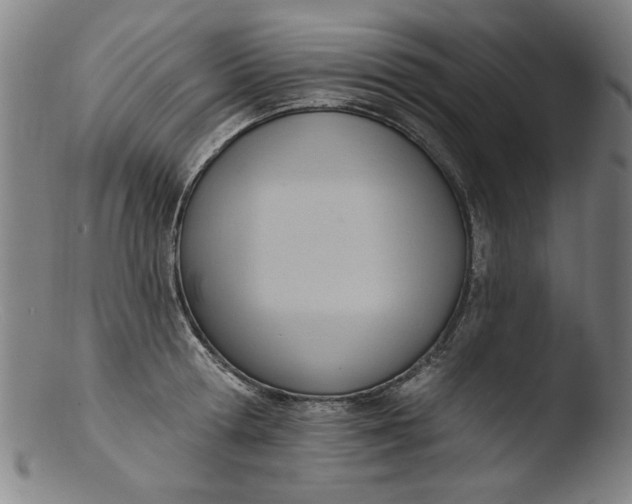 X0000103420802200809261706