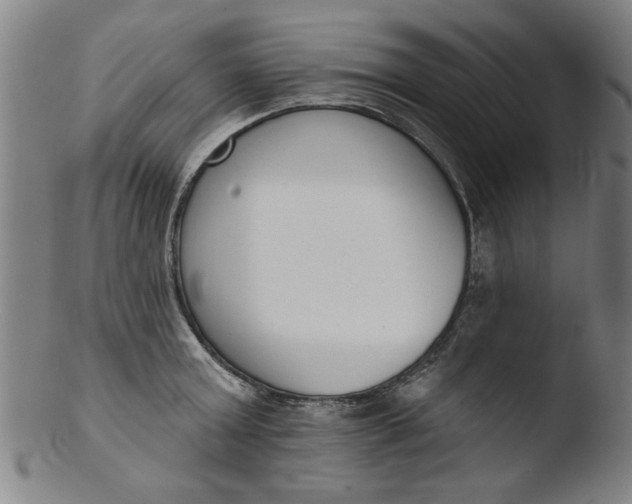X0000103420803200809261706