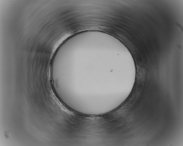 X0000103420804200809261706
