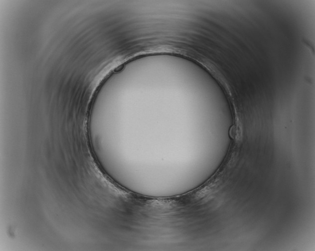 X0000103420805200809261706