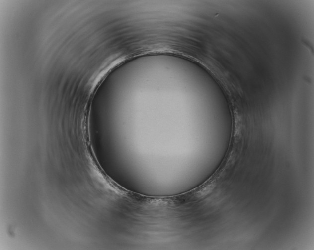 X0000103420806200809261705