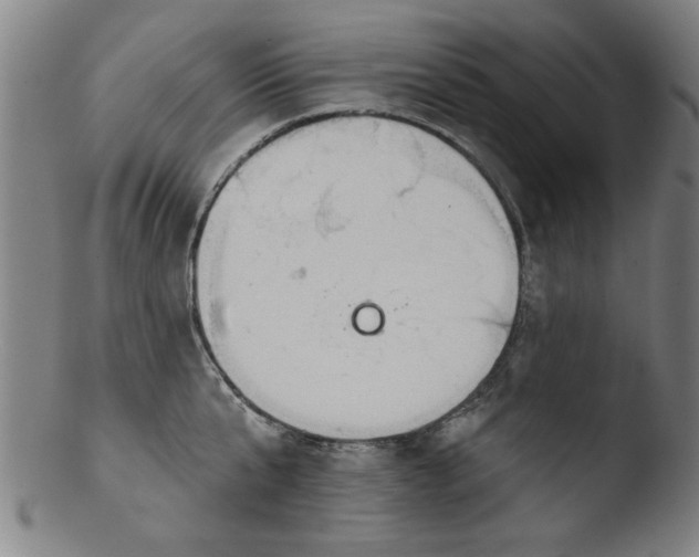 X0000103420807200809261705