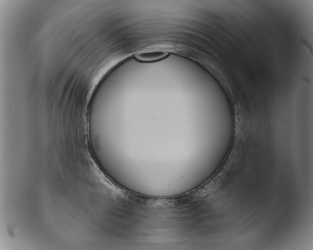X0000103420808200809261705
