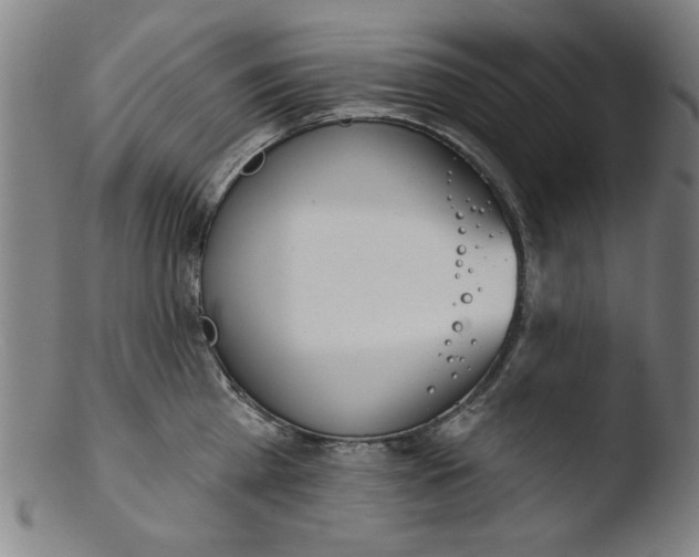 X0000103420809200809261705