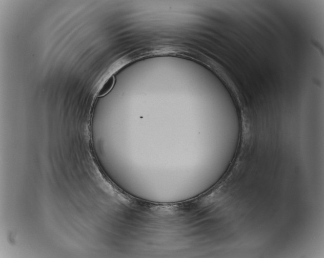 X0000103420810200809261705