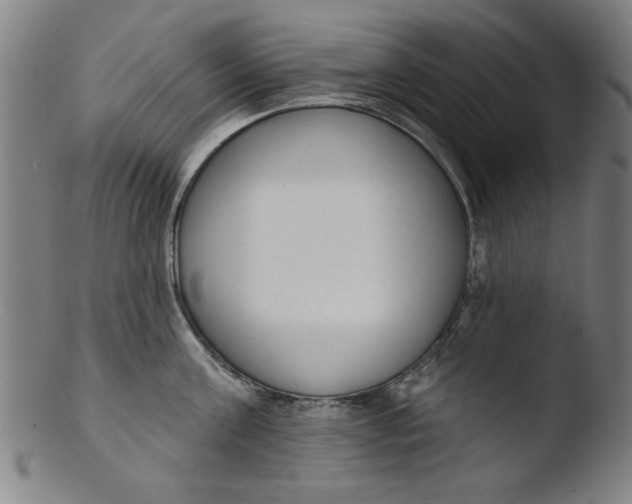 X0000103420811200809261705