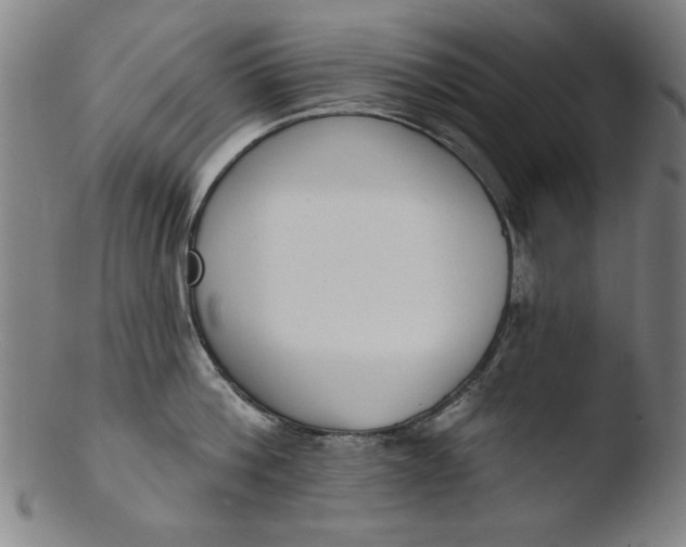 X0000103420812200809261705