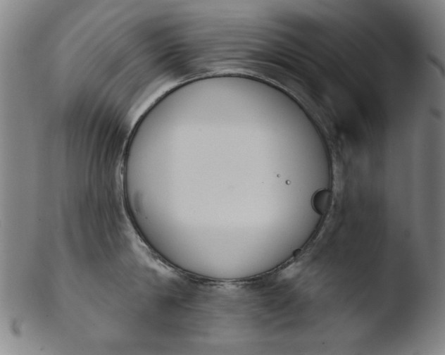 X0000103420814200809261705