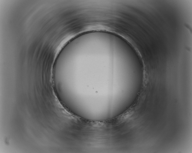 X0000103420815200809261705