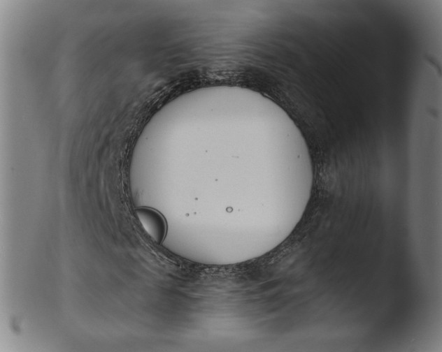 X0000103420817200809261705
