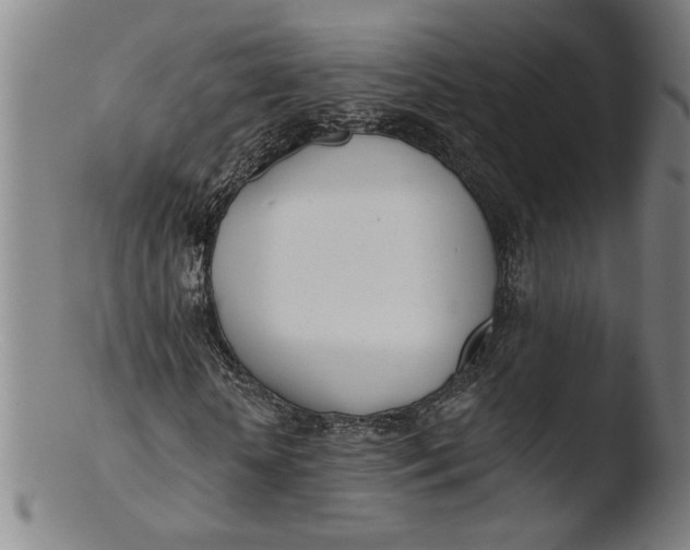 X0000103420818200809261705