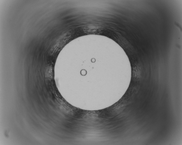 X0000103420820200809261705