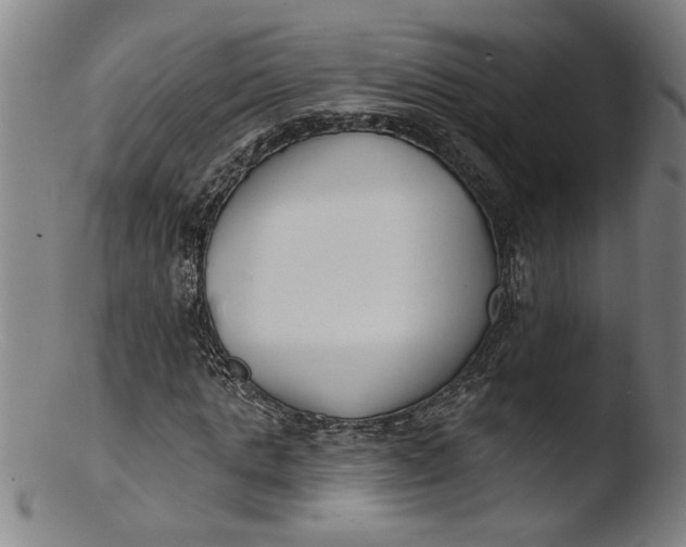 X0000103420821200809261705