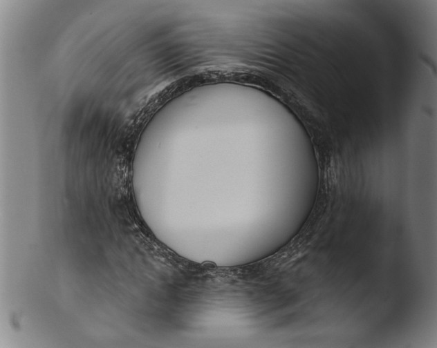 X0000103420822200809261705