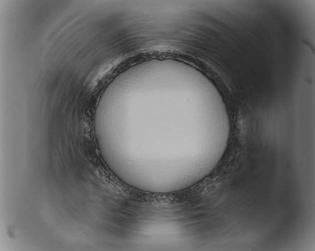 X0000103420823200809261705