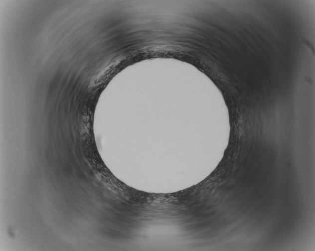 X0000103420824200809261705