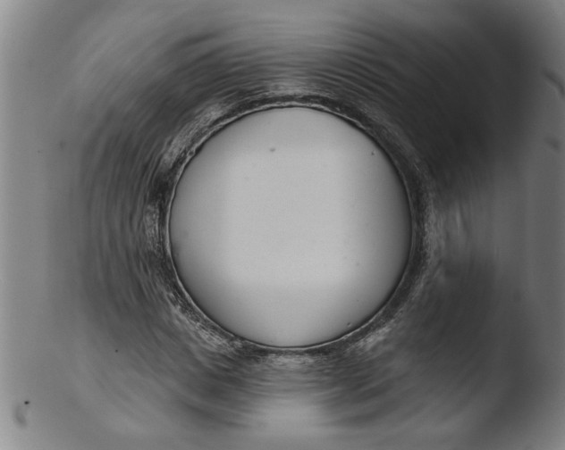 X0000103420825200809261705