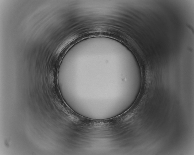 X0000103420826200809261705