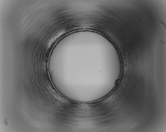 X0000103420827200809261705