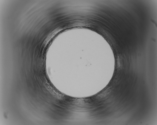 X0000103420828200809261705