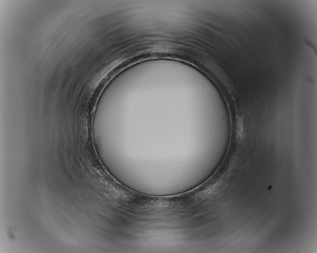 X0000103420829200809261705