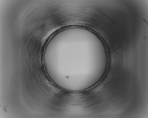 X0000103420830200809261705