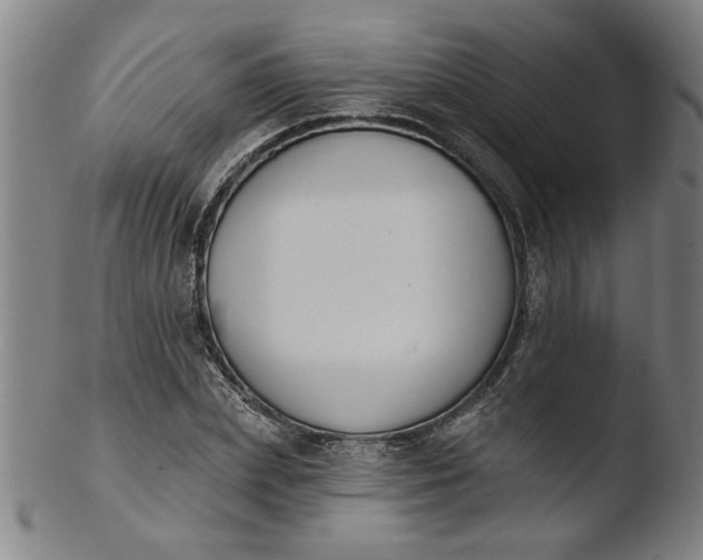 X0000103420831200809261705