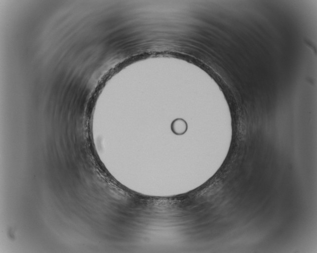 X0000103420832200809261705