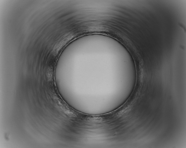 X0000103420833200809261705