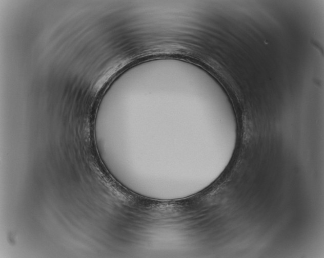 X0000103420834200809261705