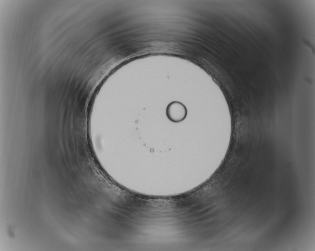 X0000103420836200809261705