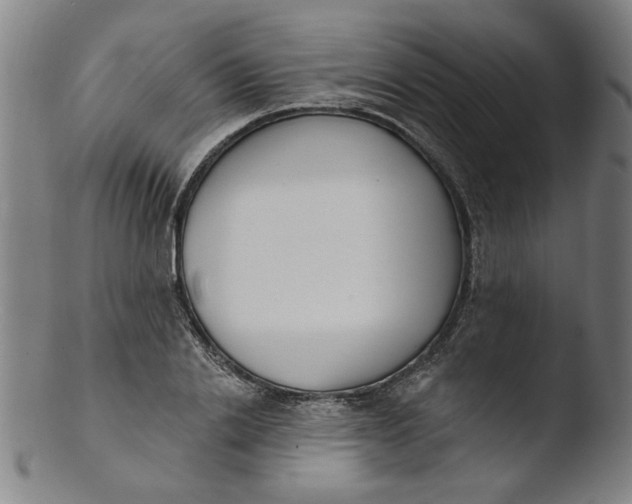 X0000103420838200809261705